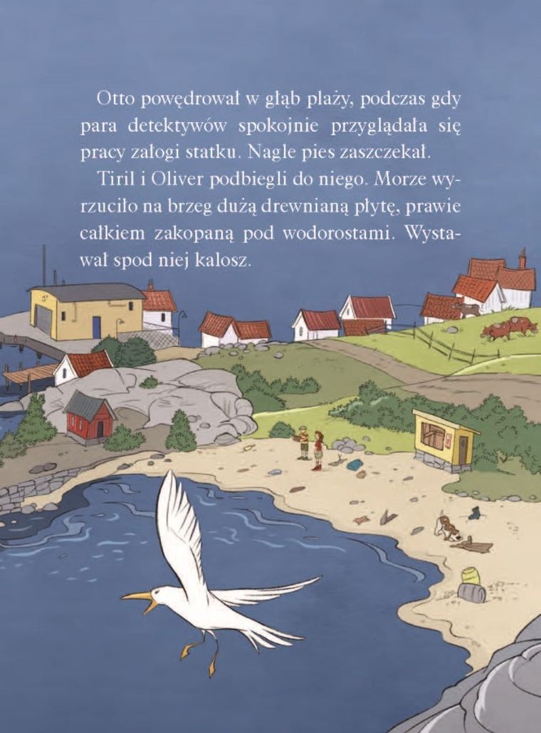 Operacja Wrak. Biuro detektywistyczne nr 2