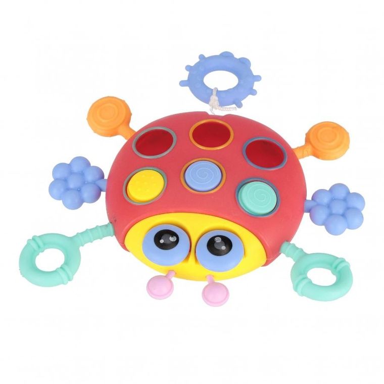 Bam Bam, zabawka sensoryczna, biedronka