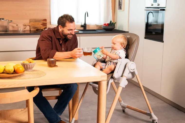 Chicco, Polly, Armonia, krzesełko do karmienia, Scandinavian