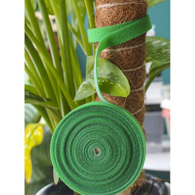 Gardlov, rzep-taśma ogrodnicza, 5 m