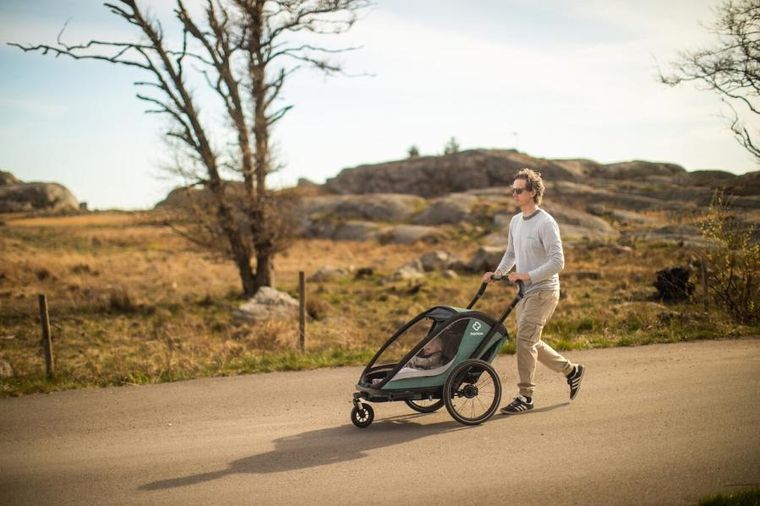 Hamax, Cocoon One, przyczepka rowerowa, Green/Black