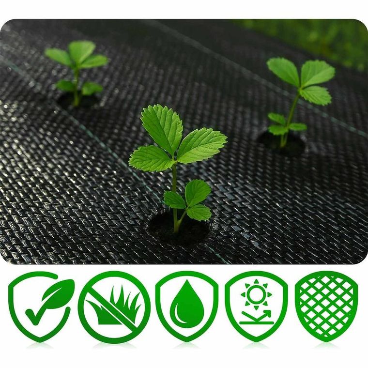 Plonos, agrotkanina ogrodowa 1,6 mx100 m 90 g/m2 + 100 szpilek, czarna