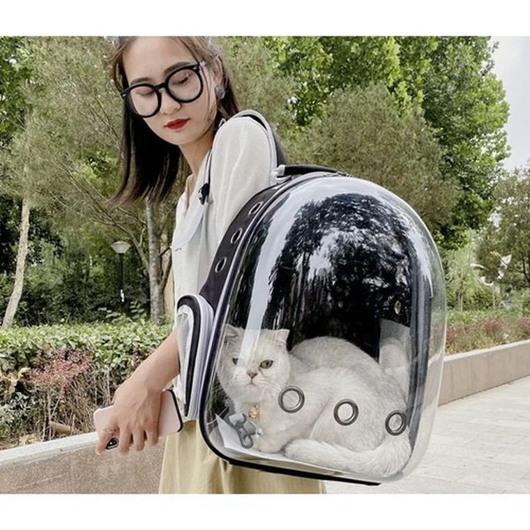 Purlov, transporter, plecak dla kota/psa