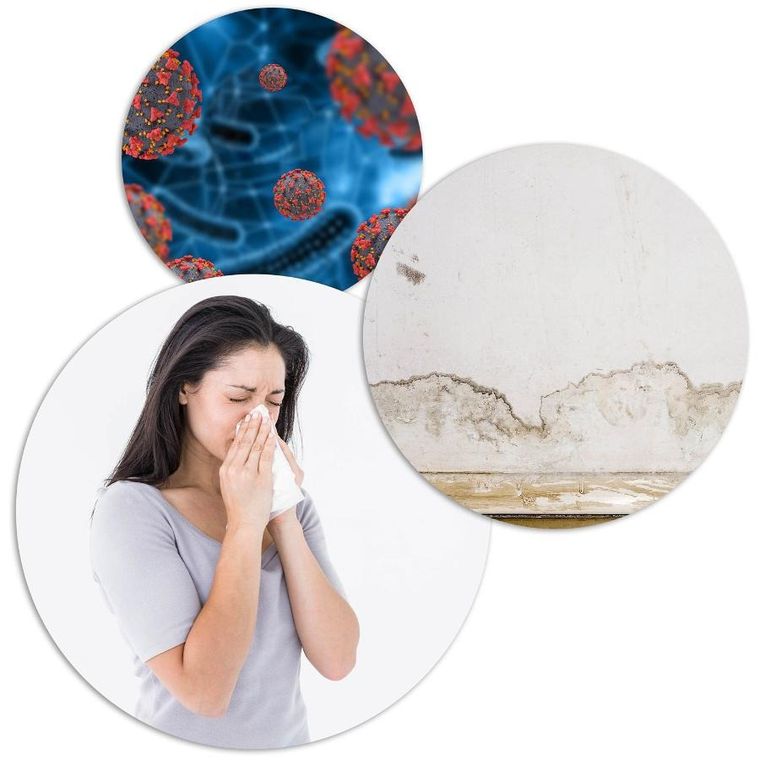 Berdsen, osuszacz powietrza, pochłaniacz wilgoci, biały