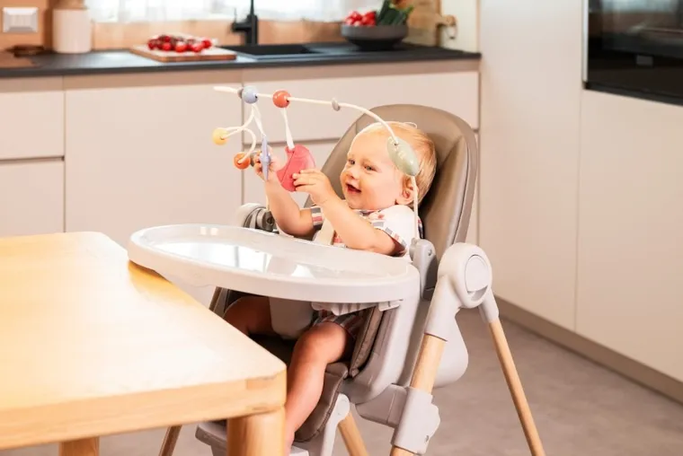 Chicco, Polly, Armonia, krzesełko do karmienia, Scandinavian