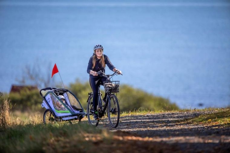 Hamax, Breeze One, przyczepka rowerowa, White/Green