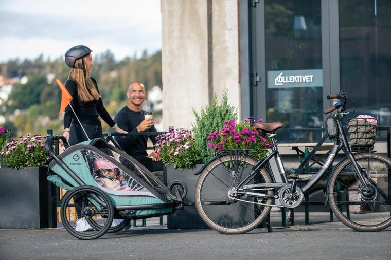 Hamax, Cocoon One, przyczepka rowerowa, Green/Black