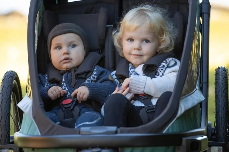 Hamax, Cocoon, przyczepka rowerowa, podwójna, Green/Black