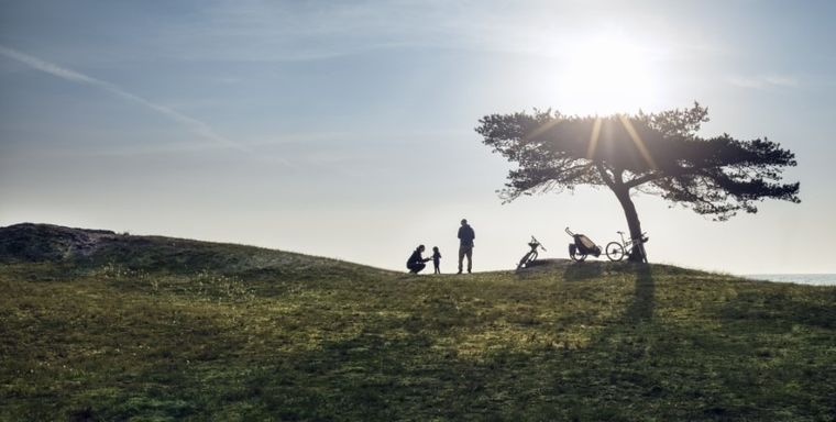 Thule, Chariot Cross 2, przyczepka rowerowa, czerwono-szara