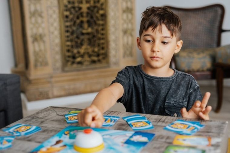 Trefl, Boom Boom, Psiaki i Kociaki, gra karciana