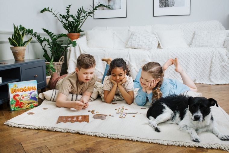 Trefl, Dinogang, gra familijna