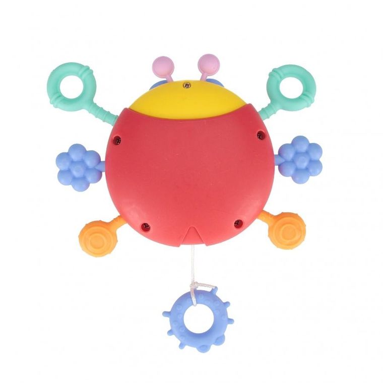 Bam Bam, zabawka sensoryczna, biedronka