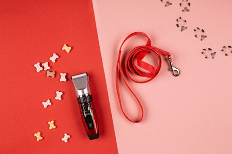 Camry, strzyżarka dla zwierząt, 35W, CR 2821