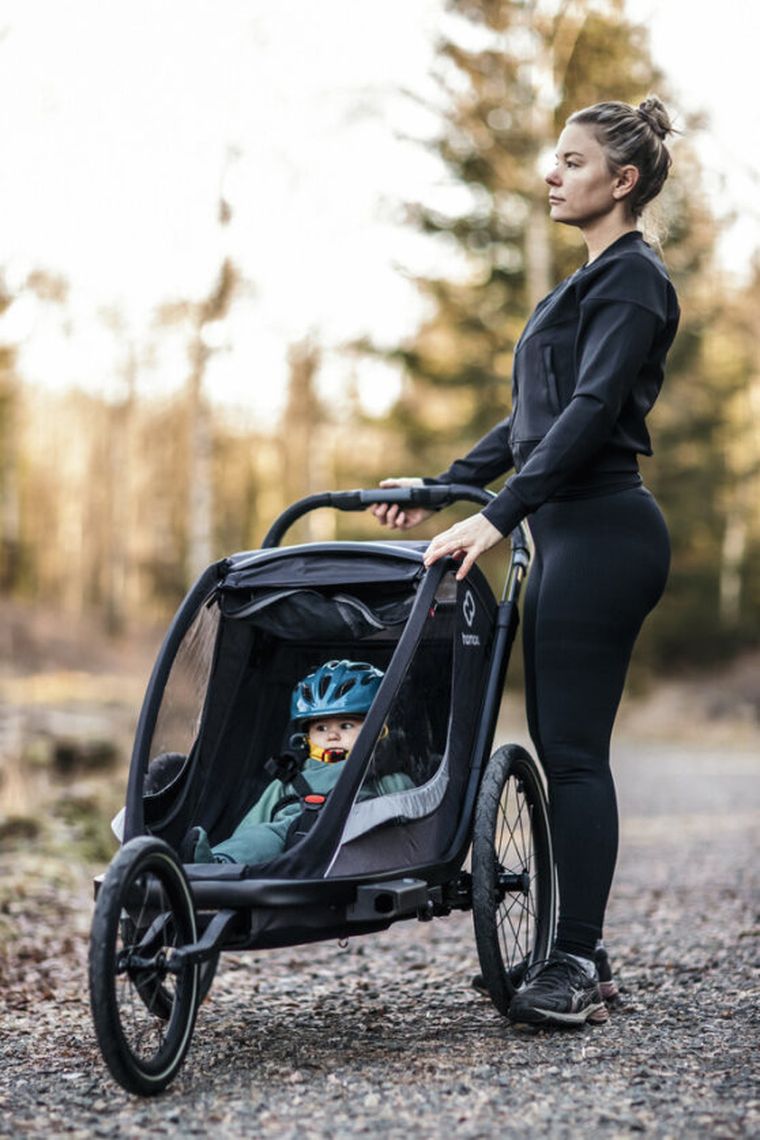 Hamax, Cocoon, przyczepka rowerowa, podwójna, Grey/Black