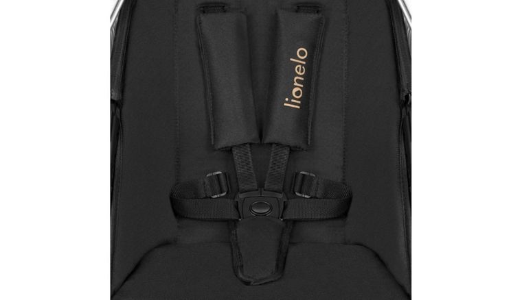 Lionelo, Amber 2in1, wózek wielofunkcyjny, Black Onyx