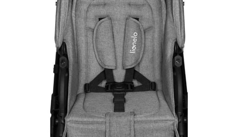 Lionelo, Mari Tour, wózek wielofunkcyjny z zestawem akcesoriów, 2w1, Grey Stone