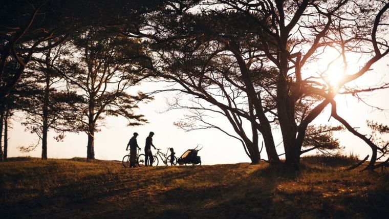 Thule, Chariot Cross 2, przyczepka rowerowa, czerwono-szara