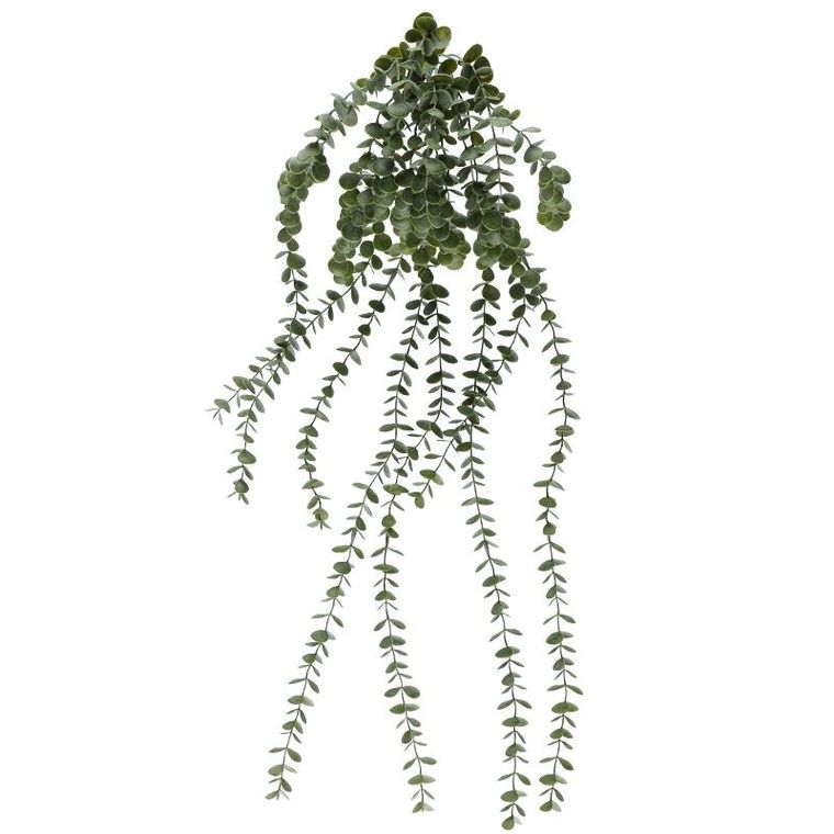 4living, eukaliptus, sztuczna roślina wisząca