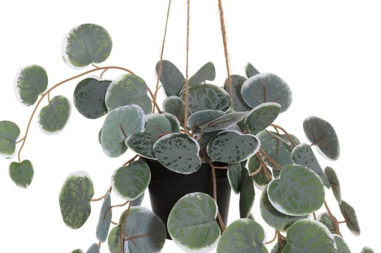 4living, sztuczna roślina wisząca, 40 cm