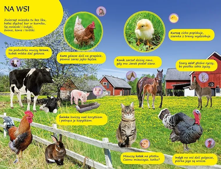 50 dźwięków zwierząt. Książeczka edukacyjna