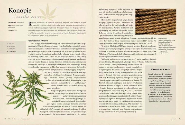 50 roślin, które zmieniły bieg historii