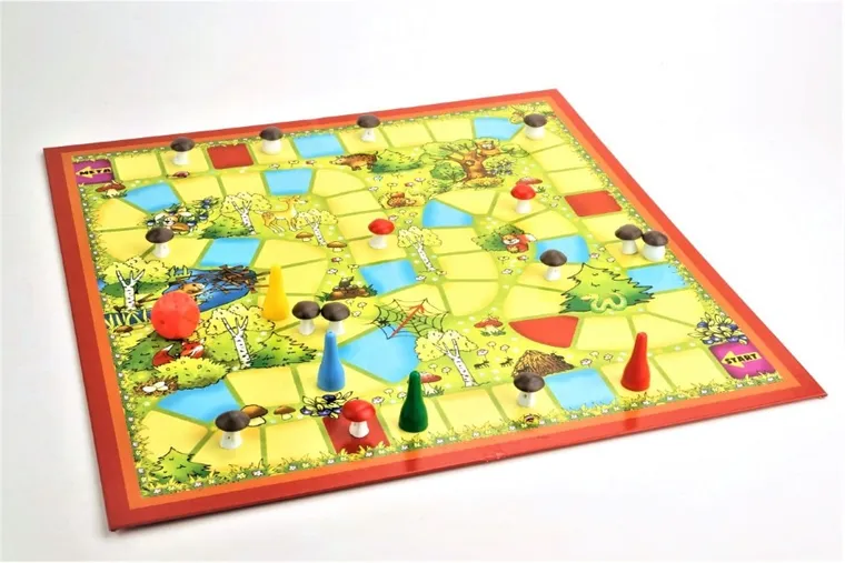 Abino, Leśne przygody, grzybobranie, gra familijna