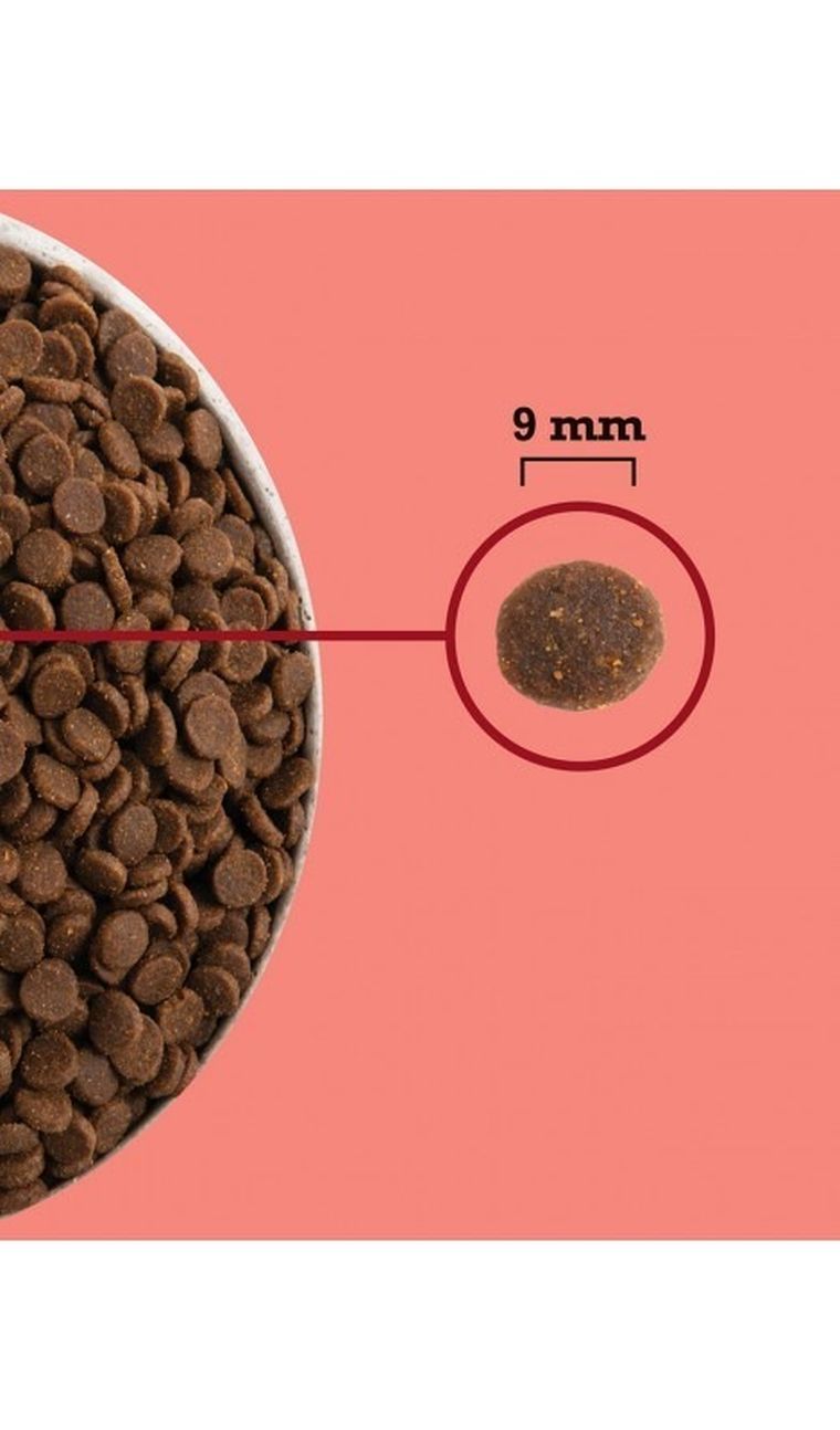 Acana, wysoko proteinowa karma sucha dla kotów, 4,5kg