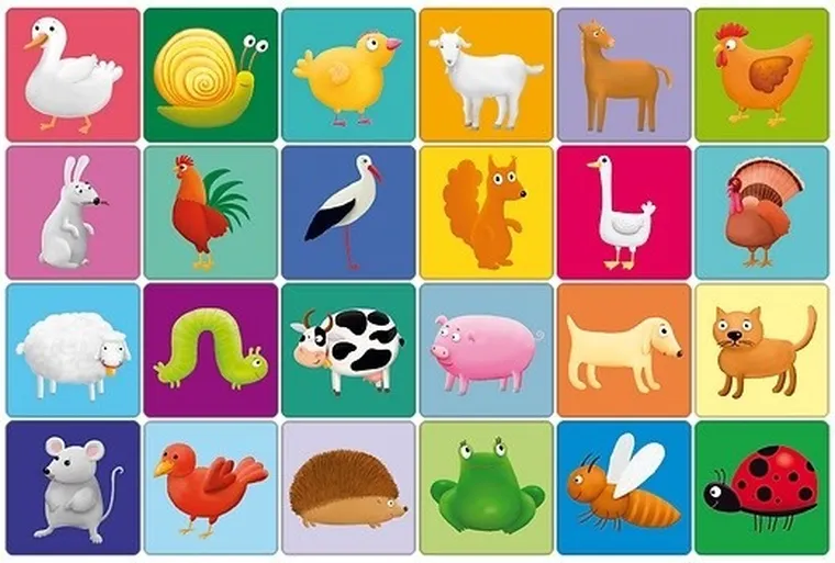 Adamigo, Farma, memory