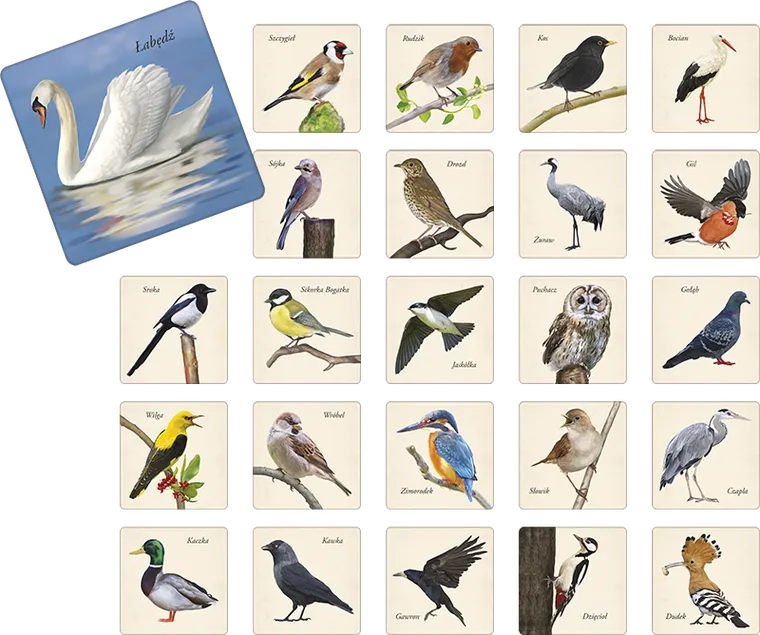 Adamigo, Ptaki - memory, gra pamięciowa