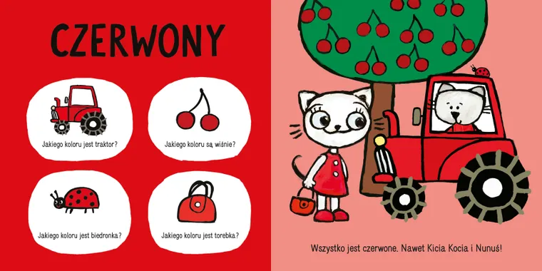 Akademia Kici Koci. Kolory
