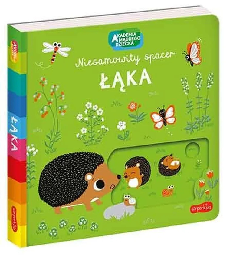 Akademia Mądrego Dziecka. Niesamowity spacer. Łąka