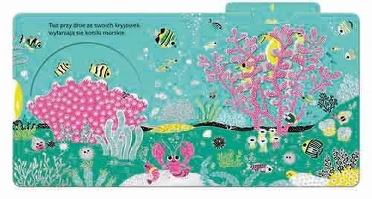 Akademia Mądrego Dziecka. Niesamowity spacer. Ocean