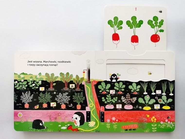 Akademia Mądrego Dziecka. Niesamowity spacer. Ogródek warzywny