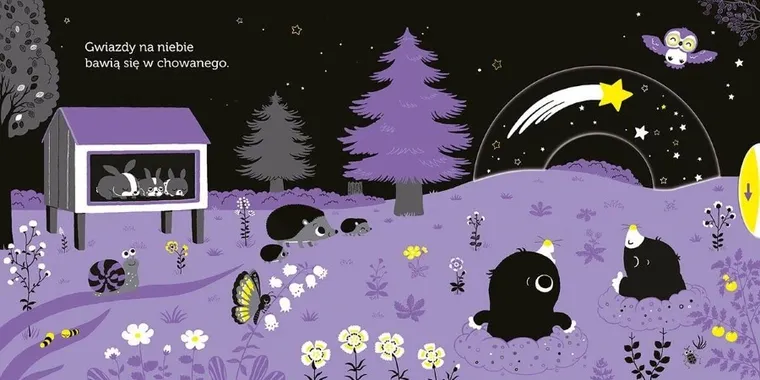 Akademia Mądrego Dziecka. Niesamowity spacer. Pod gwiazdami