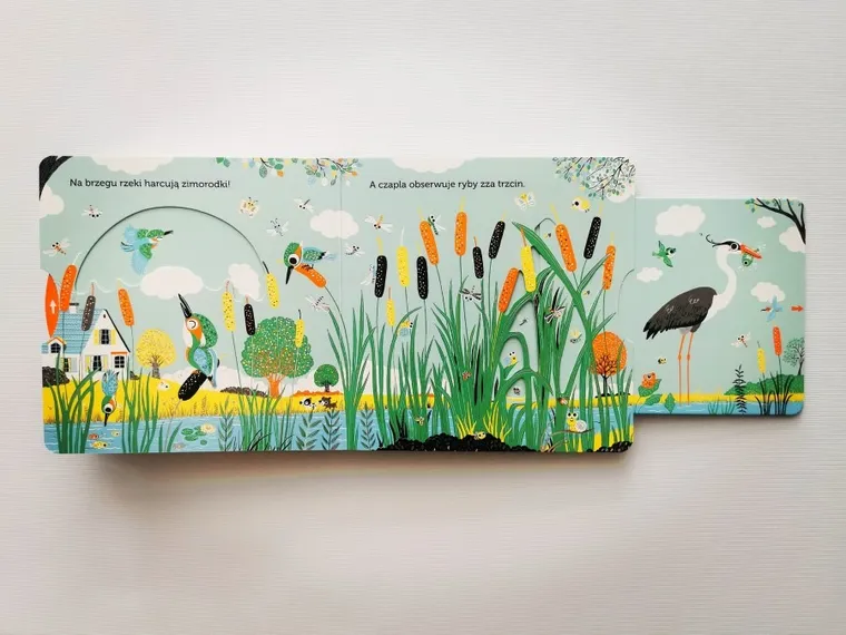 Akademia Mądrego Dziecka. Niesamowity spacer. Rzeka