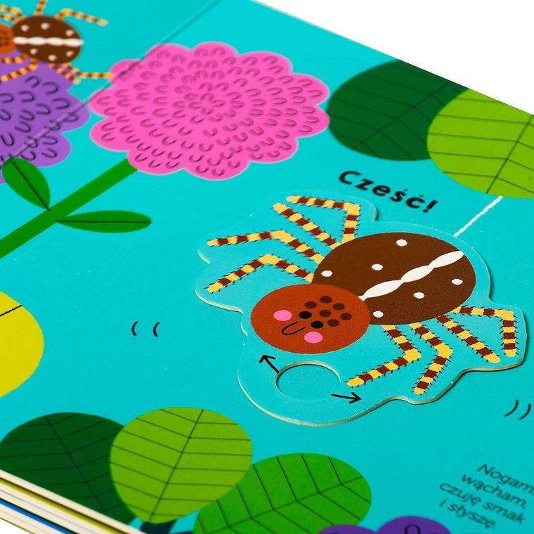 Akademia Mądrego Dziecka. Pokochaj naturę. Pająk