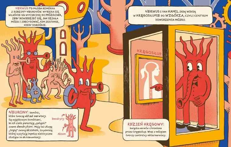 Akademia Mądrego Dziecka. Wycieczka po mózgu. Chcę wiedzieć więcej