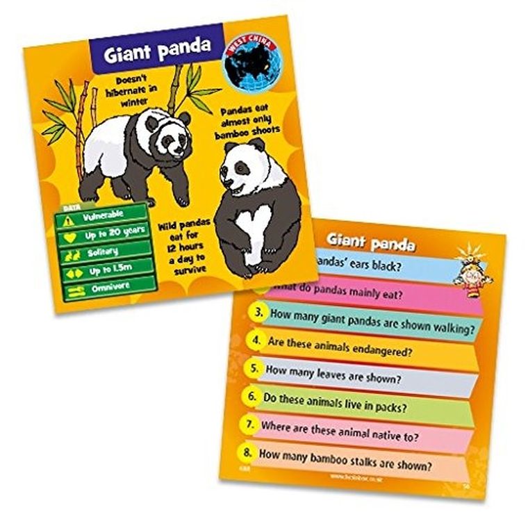 Albi, BrainBox, Animals, gra edukacyjna