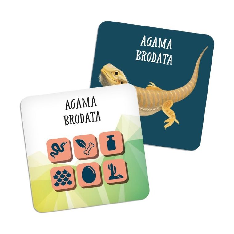 Albi, Kostki bystrzaka, Zwierzęta, gra familijna