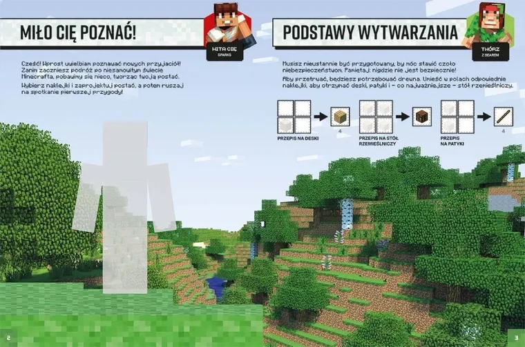 Album przetrwania z naklejkami. Minecraft