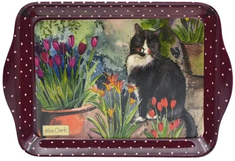Alex Clark, taca kuchenna, mała, kot i tulipany