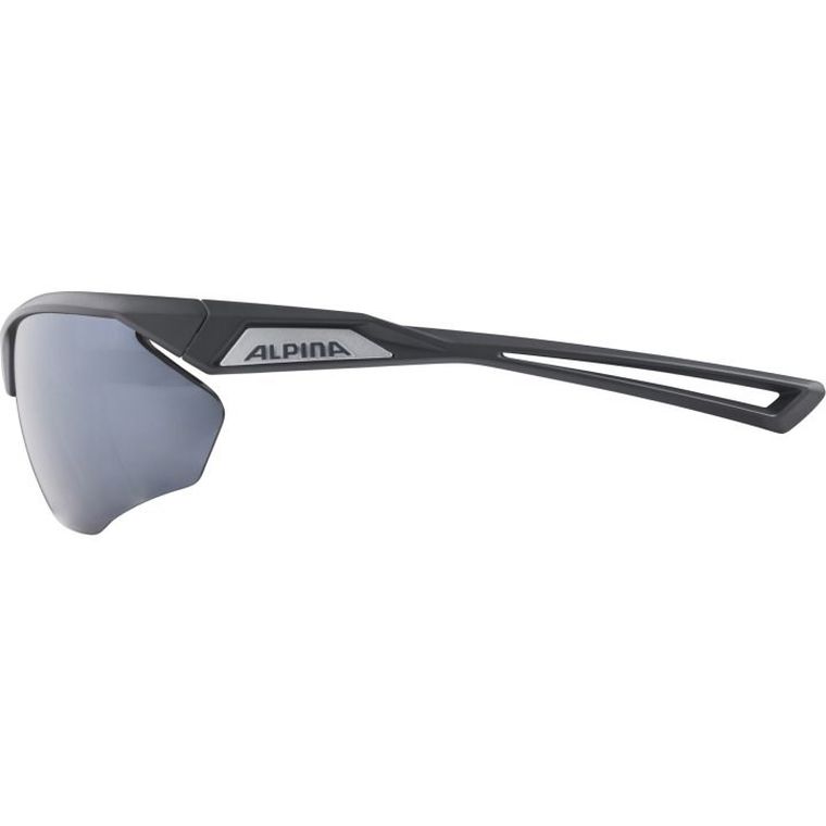 Alpina, Nylos Hr, okulary, szary mat