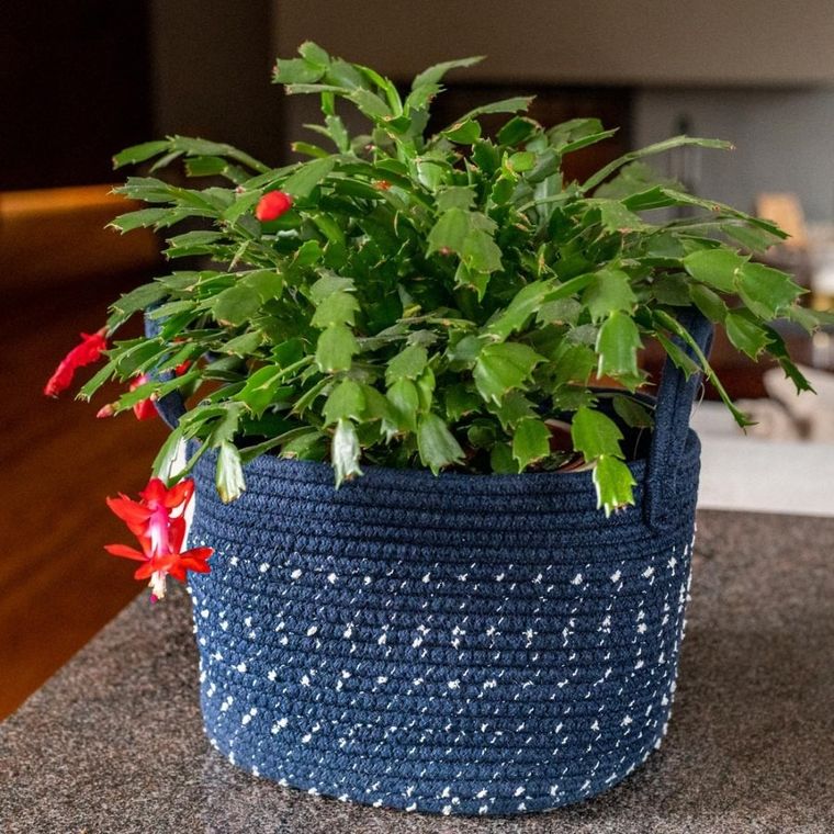 Altom Design, kosz pleciony, 25-25-20 cm, granatowy