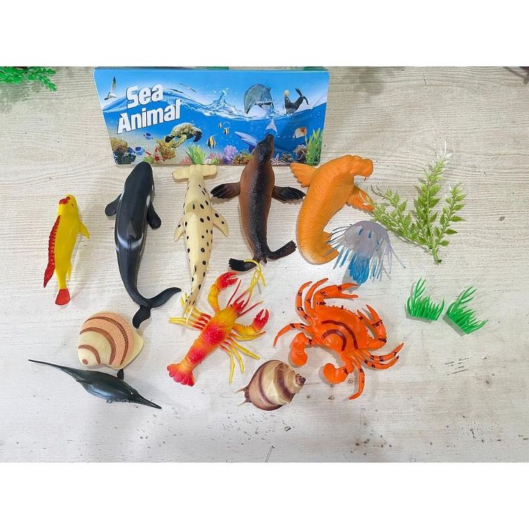 Anek dla Dzieci, zwierzęta morskie