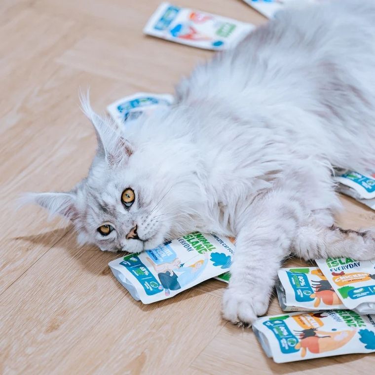 Animal Island, indyk i biała ryba w rosole, karma mokra dla kota, 85g, 80 szt.