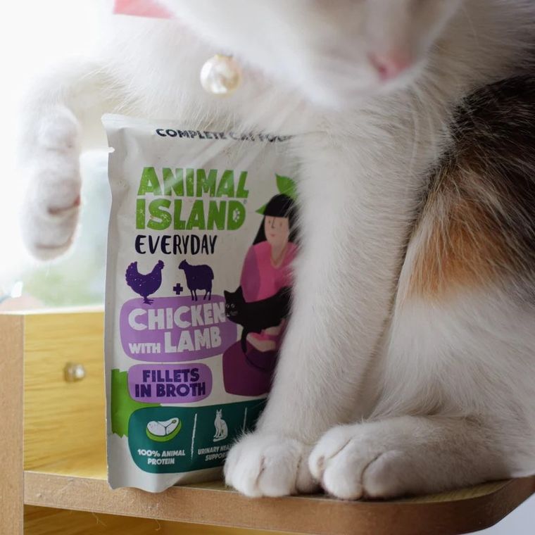 Animal Island, kurczak z przepiórką i jagnięciną, karma mokra dla kota, 85g, 4 szt.