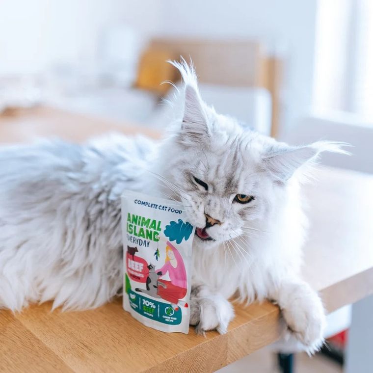 Animal Island, wołowina i kurczak w rosole, karma mokra dla kota, 85g, 80 szt.