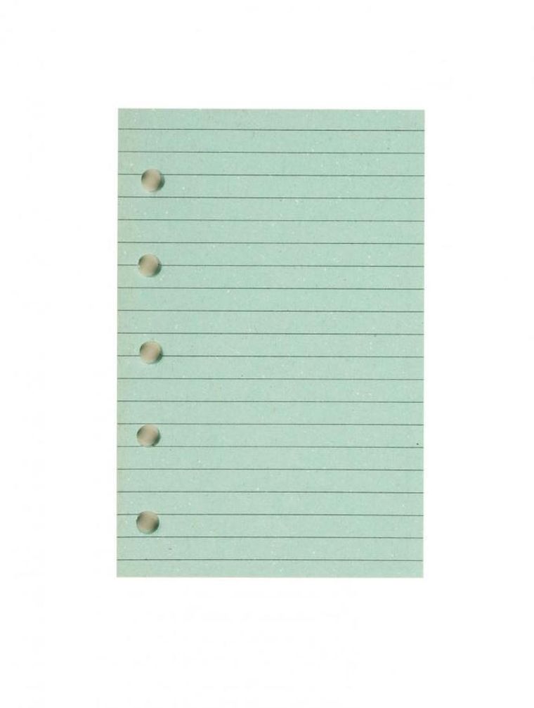 Antra, wkład do organizera, mini, Linia zielona