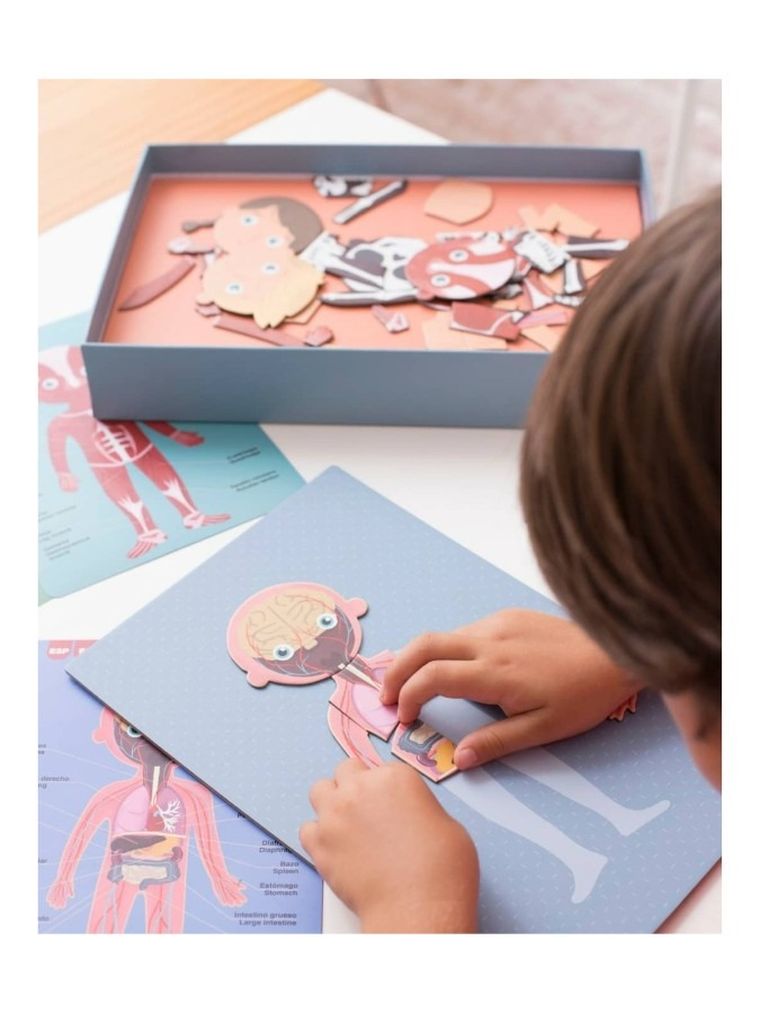 Apli Kids, magnetyczna układanka, ciało człowieka