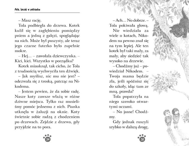 Arlo, kociak w potrzebie. Zaopiekuj się mną